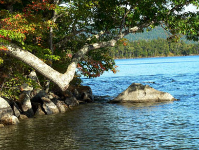 Lakeside Chocolate Rocks