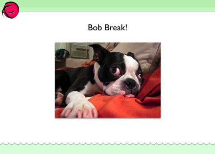 Bob Break